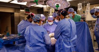 🇺🇸 MAN GETS PIG KIDNEY IN MASSACHUSETTS